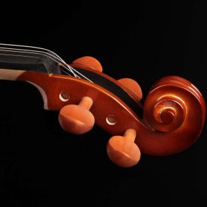 VIOLINO EAGLE VE-441 TAMPO DE ABETO MACIÇO E FUNDO BIPARTIDO DE MAPLE MACIÇO TAMANHO 4/4
