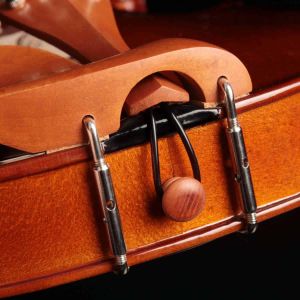 VIOLINO EAGLE VE-441 TAMPO DE ABETO MACIÇO E FUNDO BIPARTIDO DE MAPLE MACIÇO TAMANHO 4/4