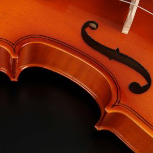 VIOLINO HOFMA HVE-242 TAMPO DE ABETO E FUNDO DE MAPLE COMPLETO COM ESTOJO, ARCO E BREU TAMANHO 4/4