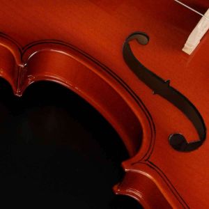 VIOLINO HOFMA HVE-241 TAMPO DE ABETO E FUNDO DE MAPLE COMPLETO COM ESTOJO, ARCO E BREU TAMANHO 4/4
