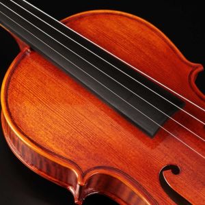VIOLINO EAGLE PROFISSIONAL VK-644 TAMPO DE ABETO MACIÇO E FUNDO BIPARTIDO DE MAPLE MACIÇO TAMANHO 4/4