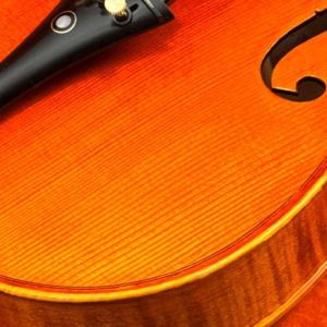 VIOLINO EAGLE MASTER VE-145 TAMPO DE ABETO MACIÇO E FUNDO BIPARTIDO DE MAPLE MACIÇO TAMANHO 4/4