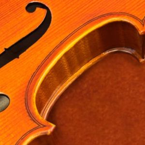 VIOLINO EAGLE MASTER VE-145 TAMPO DE ABETO MACIÇO E FUNDO BIPARTIDO DE MAPLE MACIÇO TAMANHO 4/4