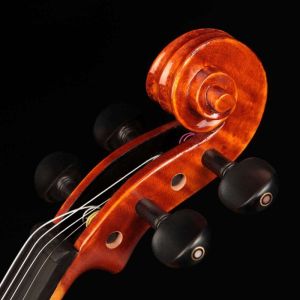 VIOLINO EAGLE PROFISSIONAL VK-644 TAMPO DE ABETO MACIÇO E FUNDO BIPARTIDO DE MAPLE MACIÇO TAMANHO 4/4