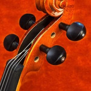VIOLINO EAGLE MASTER VE-145 TAMPO DE ABETO MACIÇO E FUNDO BIPARTIDO DE MAPLE MACIÇO TAMANHO 4/4