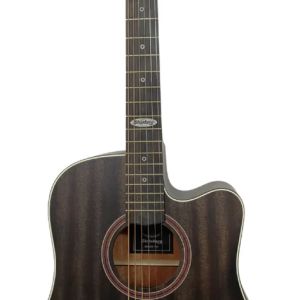 VIOLAO STRINBERG SD200C TOS FOLK FOSCO