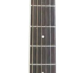 VIOLAO GIANNINI ACO ELETROACUSTICO GSF-1D CEQ NG COR NATURAL GLOSSY