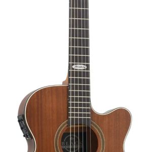 VIOLAO STRINBERG SL200C MGS FLAT NYLON FOSCO