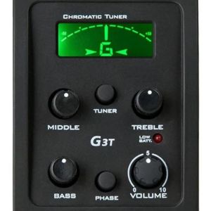 VIOLAO GIANNINI ACO ELETROACUSTICO SF-14 CEQ BK - FLAT COR BK