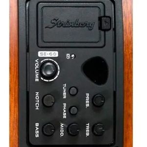 VIOLAO STRINBERG SD200C SMS FOLK FOSCO