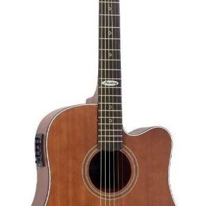 VIOLAO STRINBERG SD200C SMS FOLK FOSCO