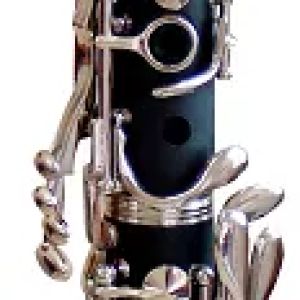 CLARINETE SPRING 17 CHAVES SI BEMOL CHAVES NIQUELADAS CL-800 SP