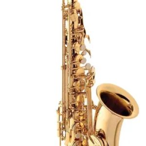 SAXOFONE ALTO SPRING SA-500 SP - LAQUEADO COM ESTOJO