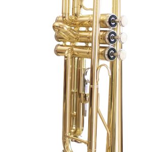 TROMPETE SPRING EM SI BEMOL LAQUEADO COM ESTOJO TR-700 SP