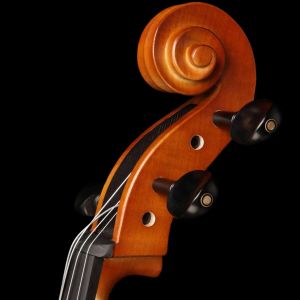 VIOLONCELO EAGLE CE-300 - 4/4 - COM CAPA, ARCO E BREU