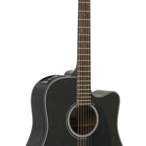 VIOLAO TAKAMINE AÇO GD-14CE TOS FOSCO & TP4T