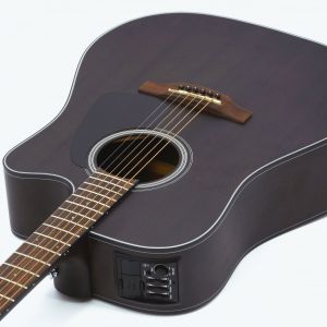 VIOLAO TAKAMINE AÇO GD-14CE TOS FOSCO & TP4T
